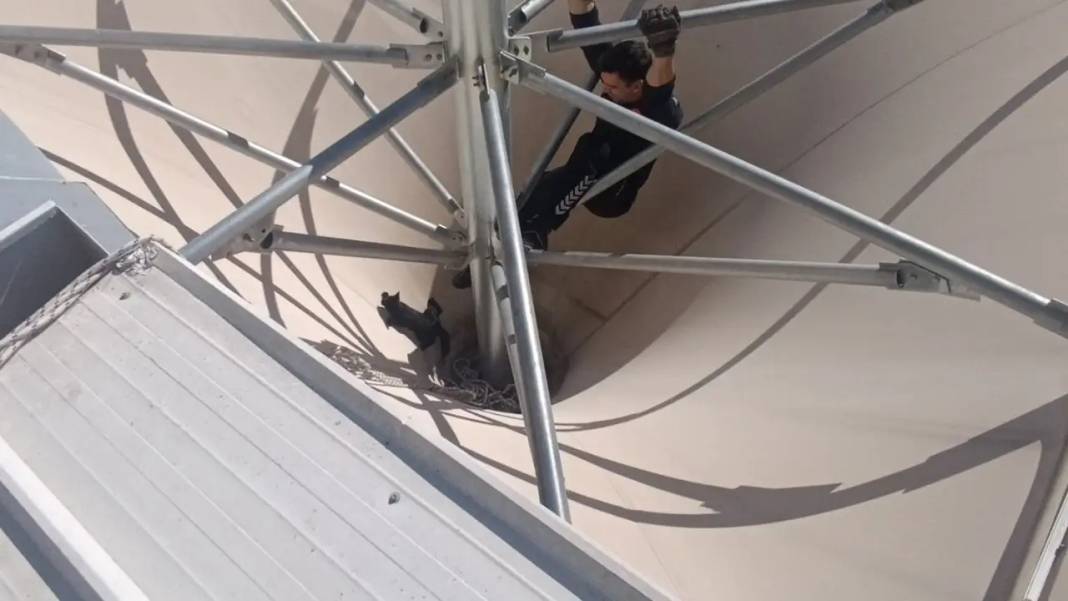 Manavgat’ta Kedinin Çatı Keyfi Krize Dönüştü! İmdadına İtfaiye Yetişti 4